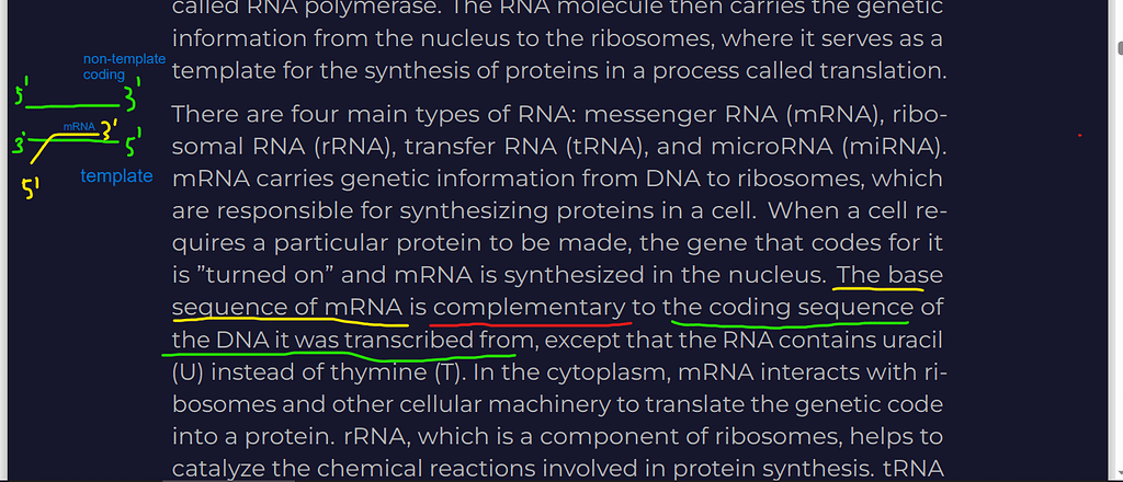 Dna Coding Strand Vs Template Strand Practice Question Solving