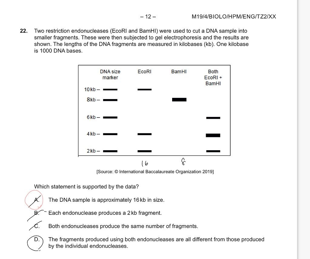 Ib Past Paper Biology 2019 22 Practice Question Solving ib-past-paper-biology-2019-22-practice-question-solving