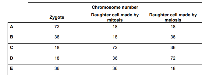 chromosomes numbers in meiosis