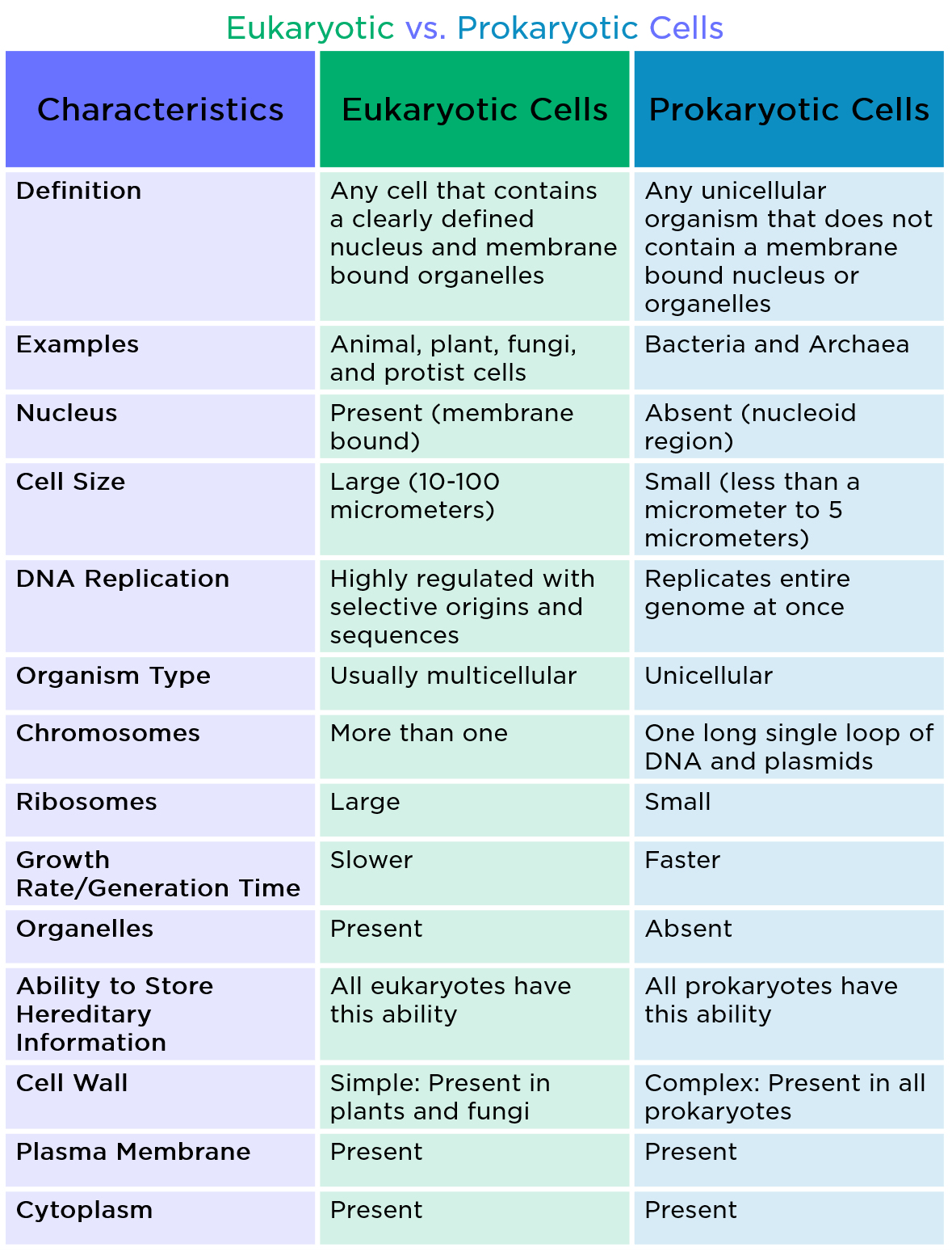 Summary Of Prokaryotic And Eukaryotic Cells