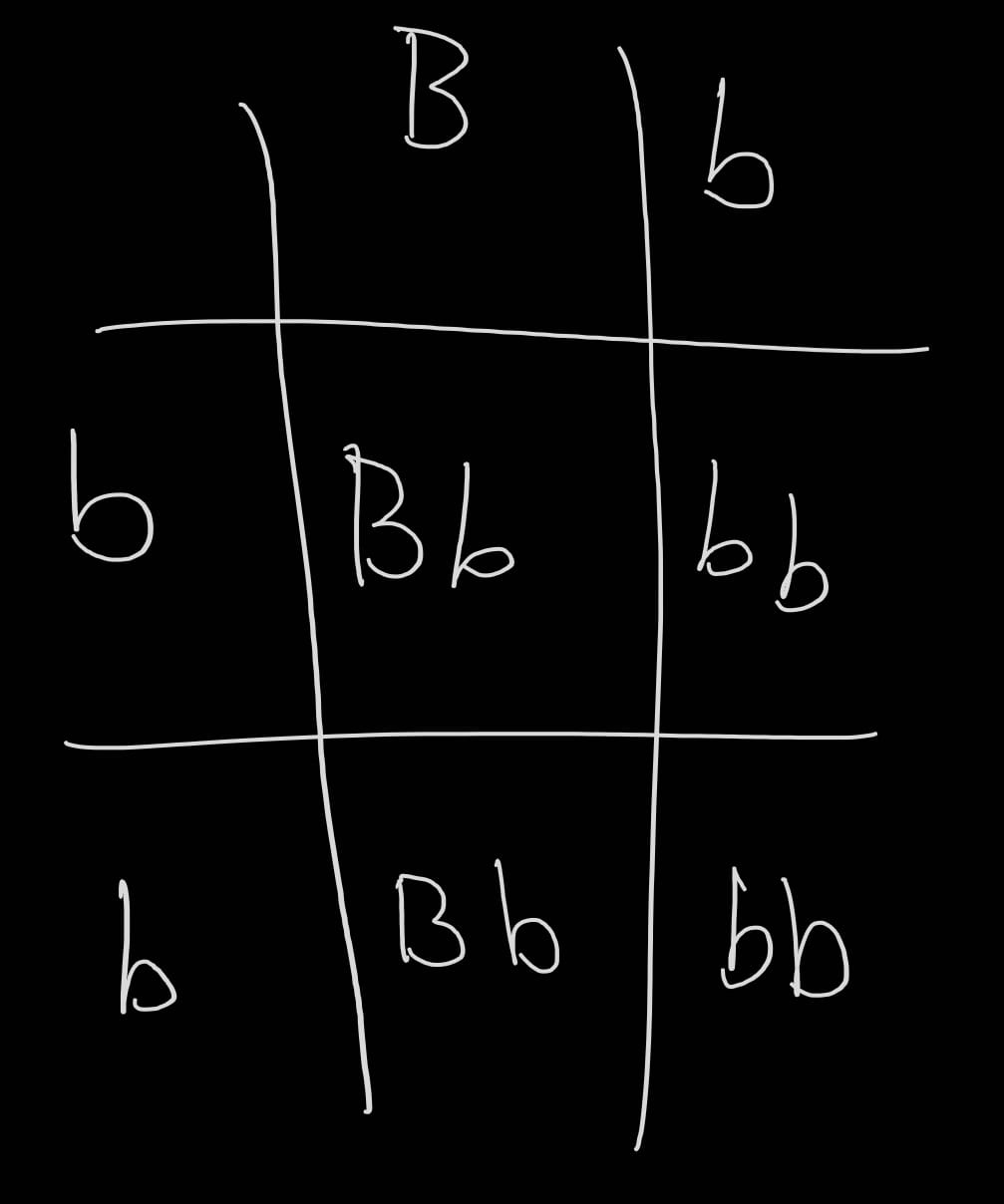 Calculating Heterozygous Alleles Practice Question Solving 