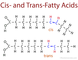 cis & trans fats
